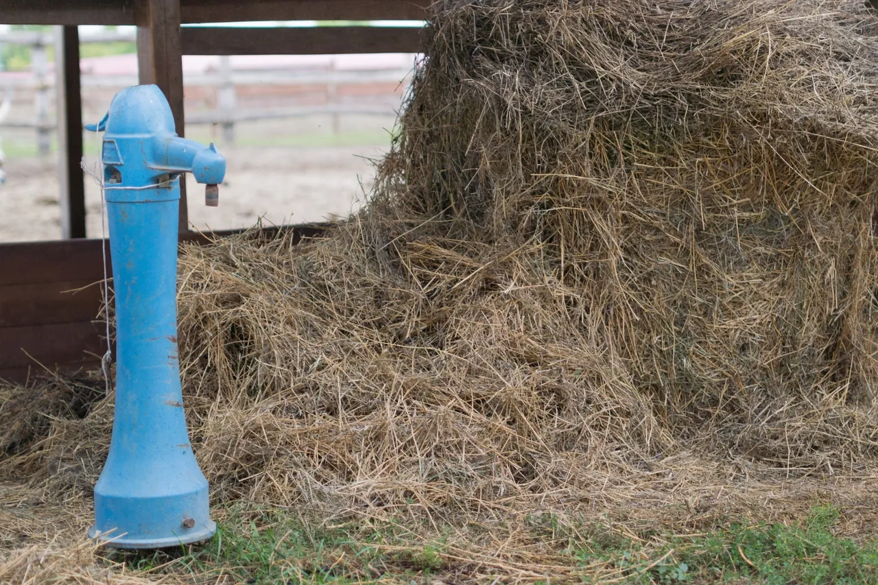 Bomba manual azul clara de poço em área rural com palha ao fundo, usada para explicar poço semi artesiano e artesiano no Rio de Janeiro
